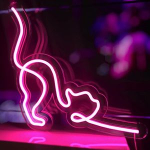 Néon LED Chat